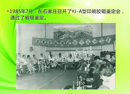 YJ-A型印刷膠輥鑒定會