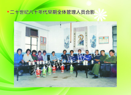 5 二十世紀八十年代早期全